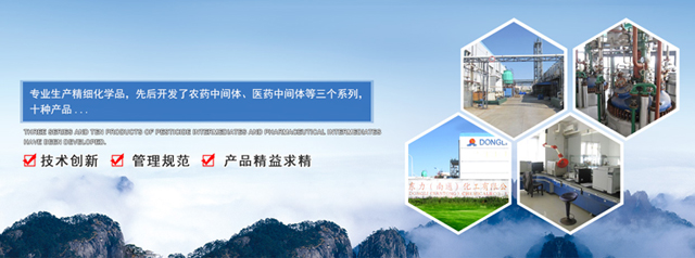 东力(南通)化工有限公司